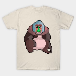 Pixel Gorilla Gaze T-Shirt